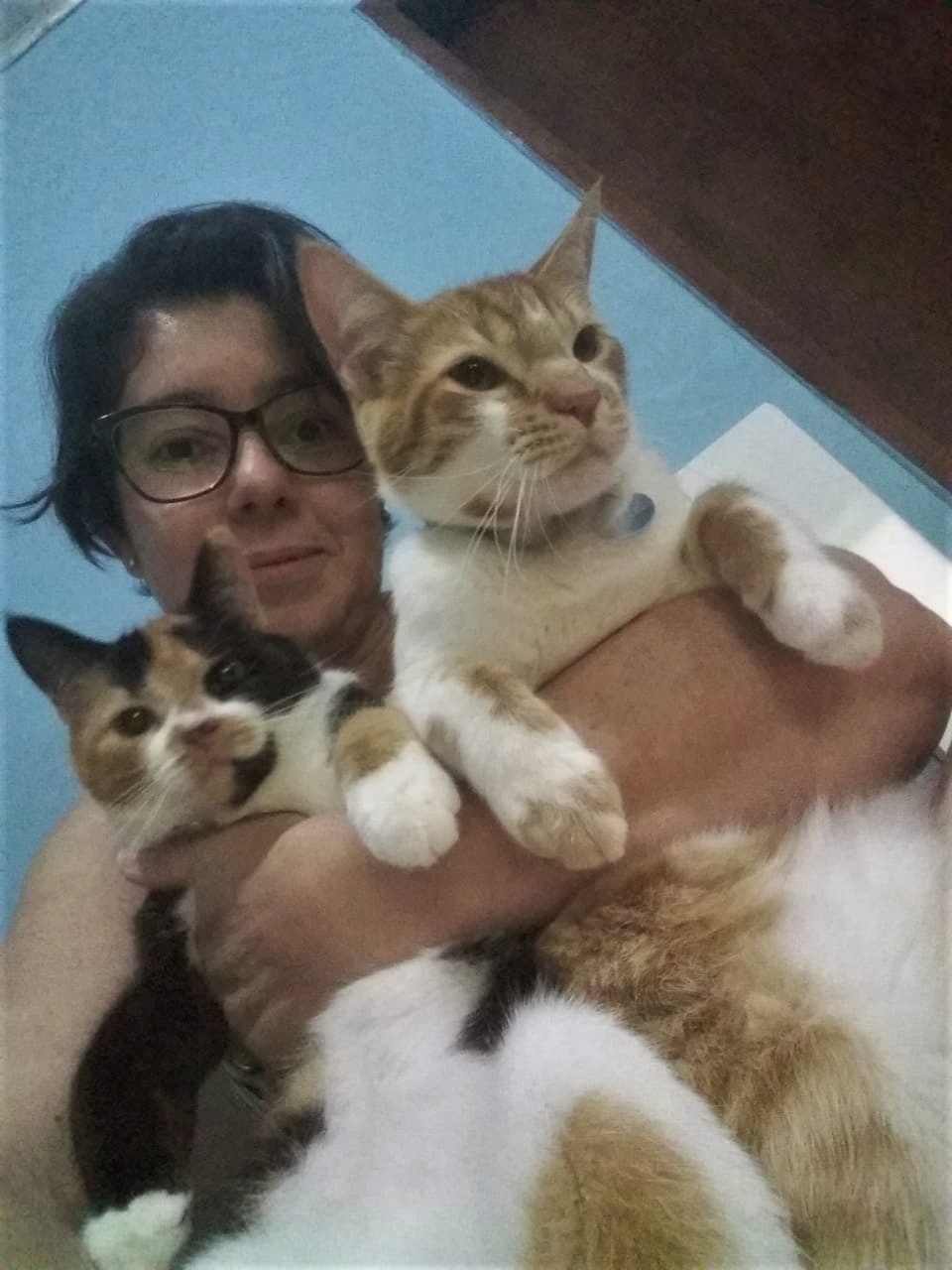 DANI 1 Adriana com seus dois gatos